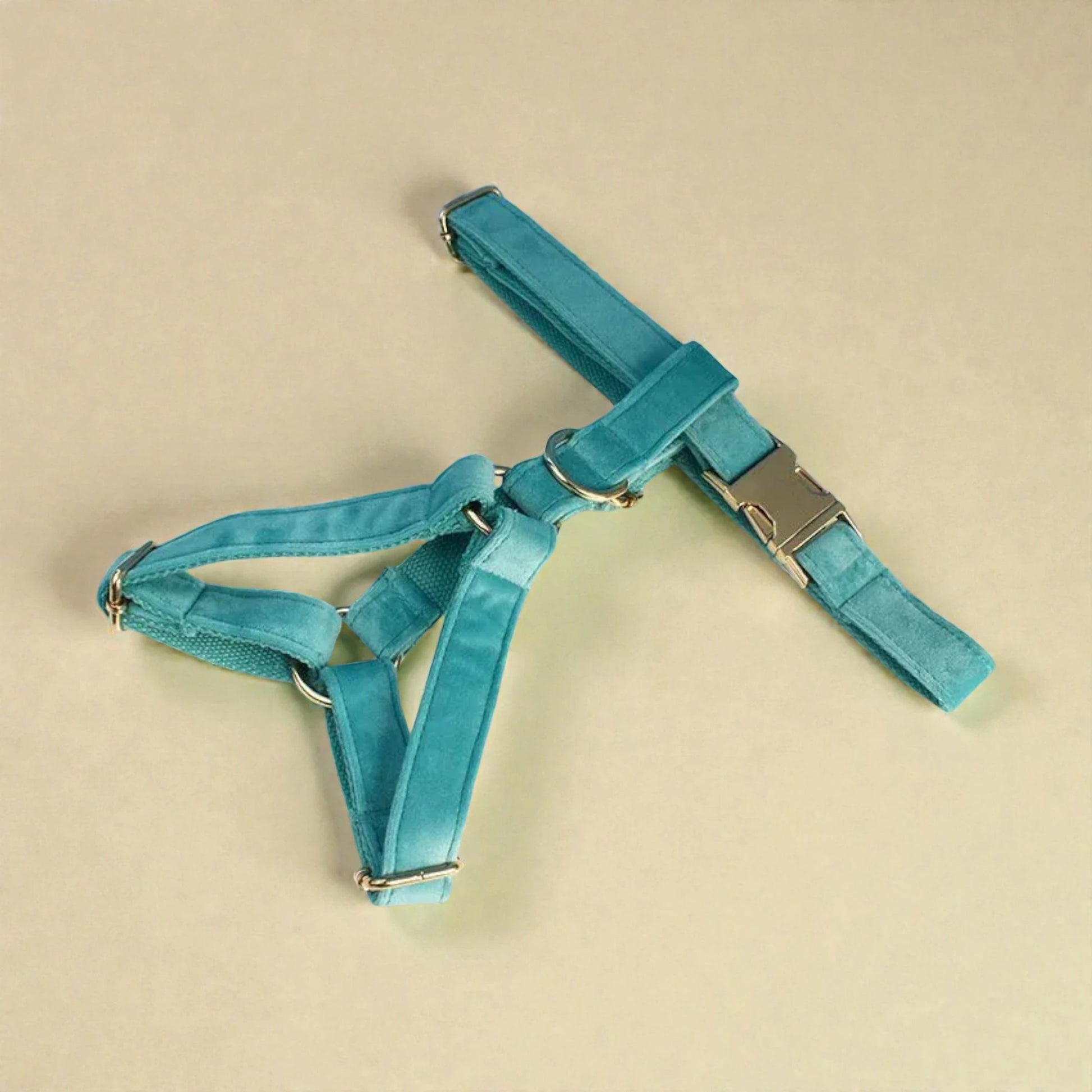 Turquoise dog harness on a beige background
