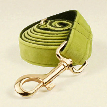 Green dog lead in gold clip on a beige background