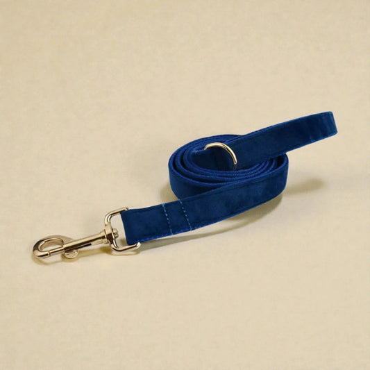 Blue dog lead with gold clasp on a beige background