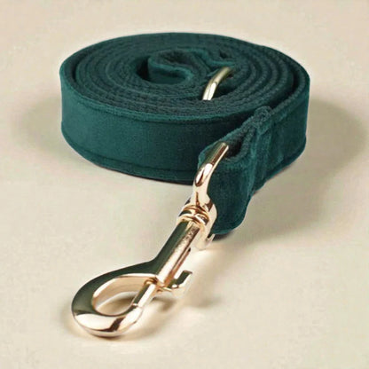 Green dog lead with gold clasp on a beige background
