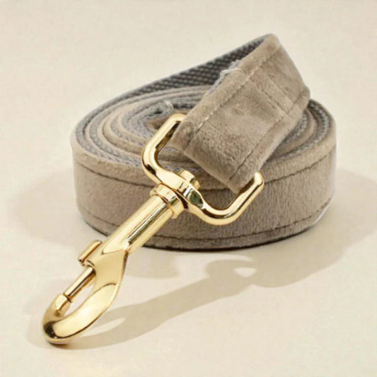 Dog lead with gold clasp on a beige background