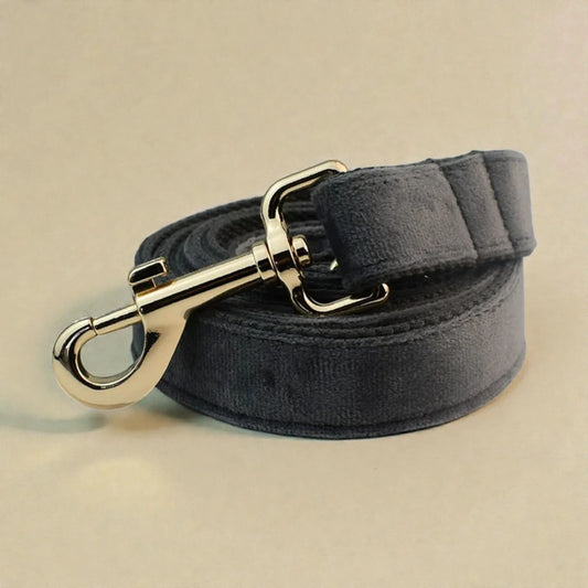 Grey dog lead with gold clasp on a beige background