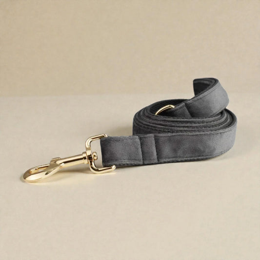Grey dog lead with gold clasp on a beige background