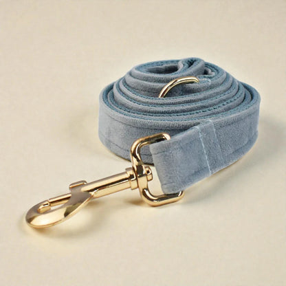 Light blue velvet dog leash with gold hardware on a beige background