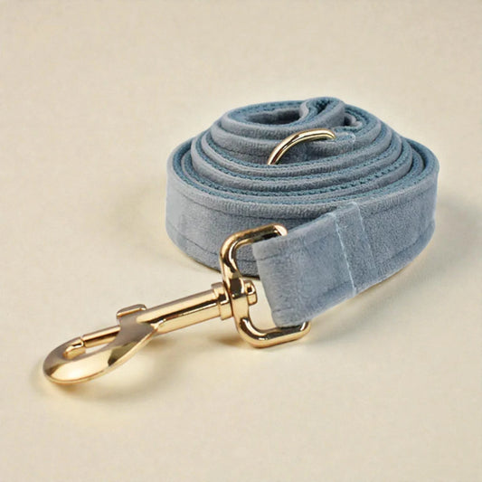 Light blue velvet dog leash with gold hardware on a beige background