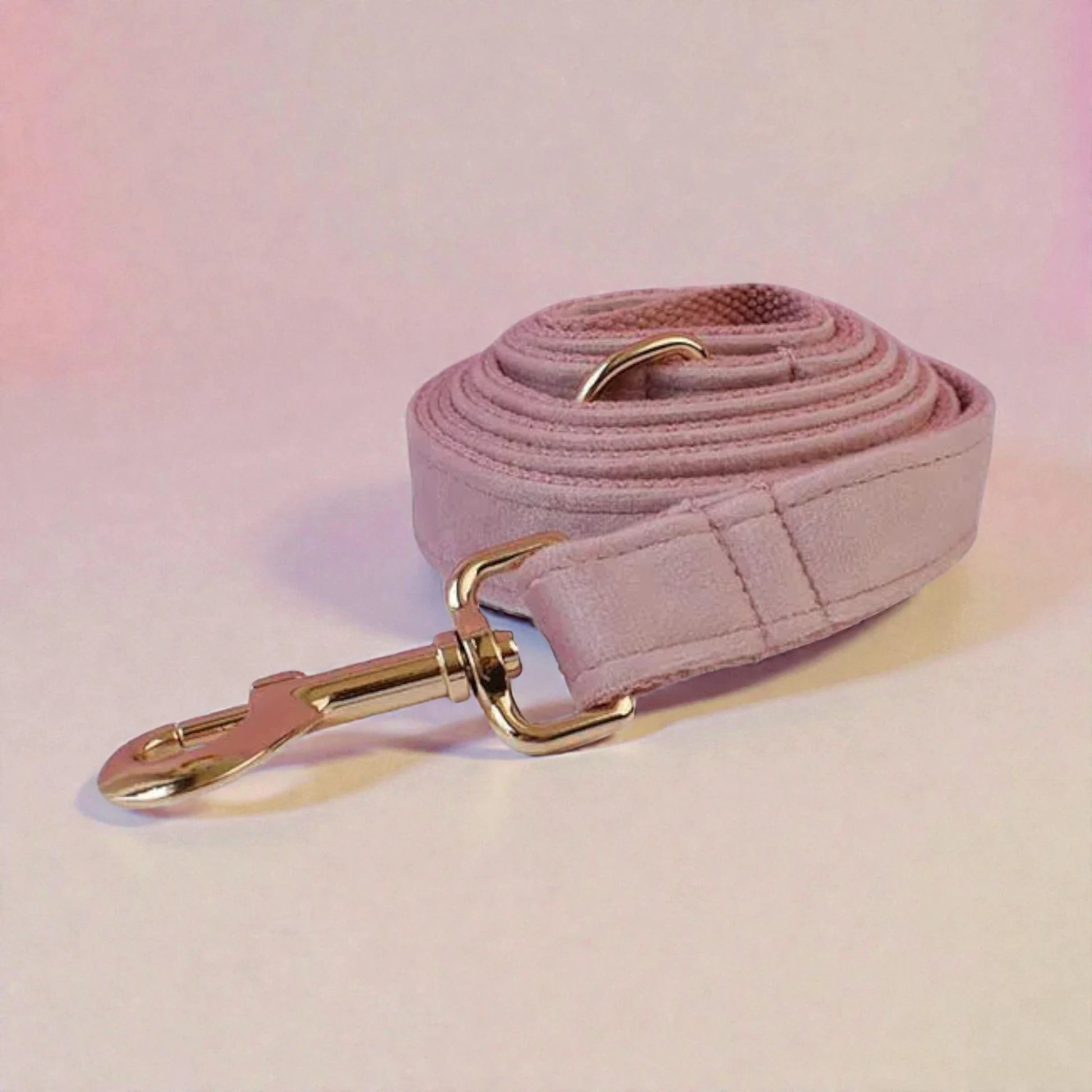 Pink dog lead with gold hardware on a soft pink background