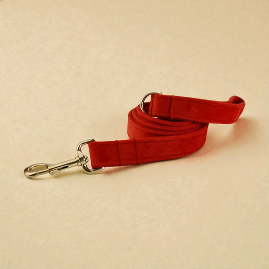 Red dog lead with a silver clip on a beige background