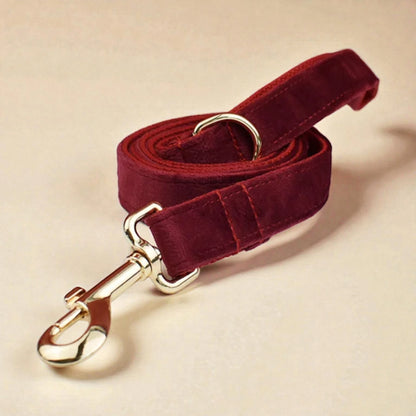 Red velvet dog lead with gold hardware on a beige background