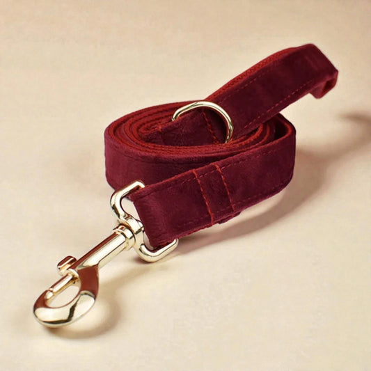Red velvet dog lead with gold hardware on a beige background