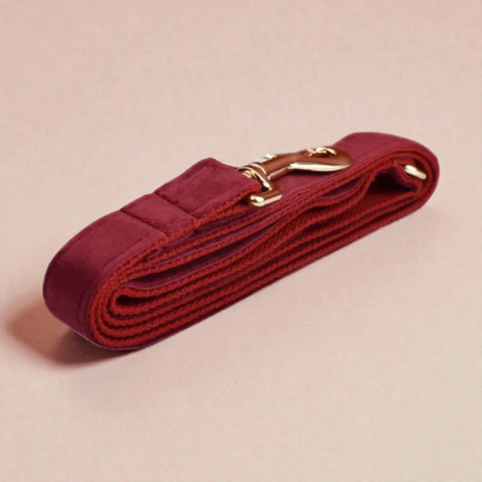 Red dog lead with a gold buckle on a beige background