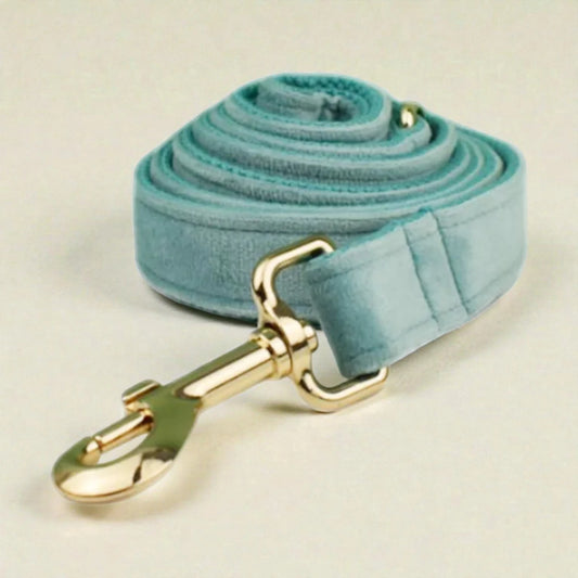 Teal dog lead with gold hardware on a light beige background