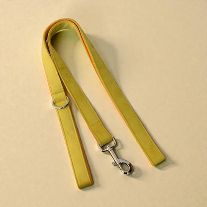 Yellow dog lead with a silver clasp on a beige background