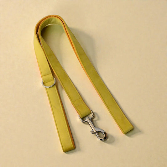Yellow dog lead with a silver clasp on a beige background
