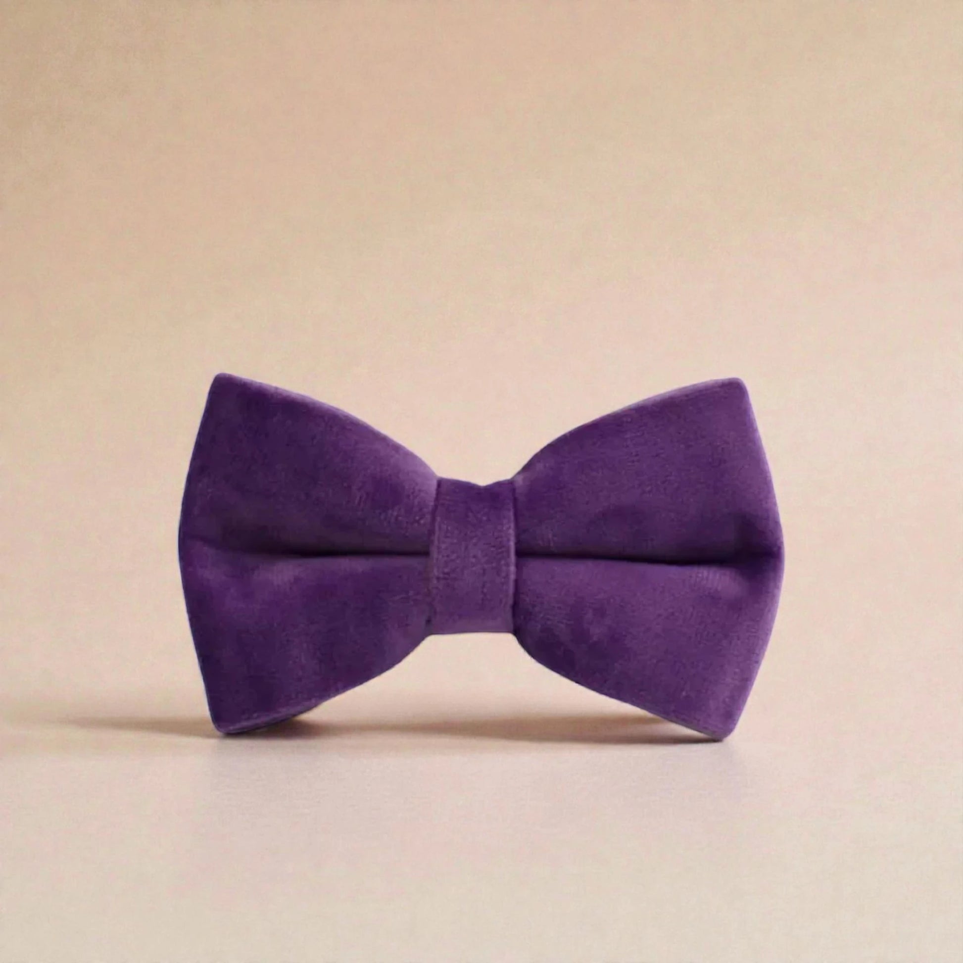 purple dog bow tie