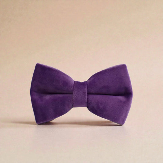 purple dog bow tie