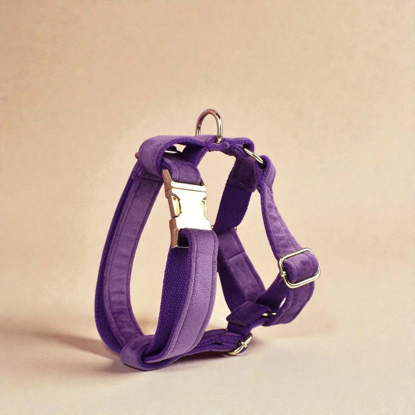 Purple dog harness on a beige background
