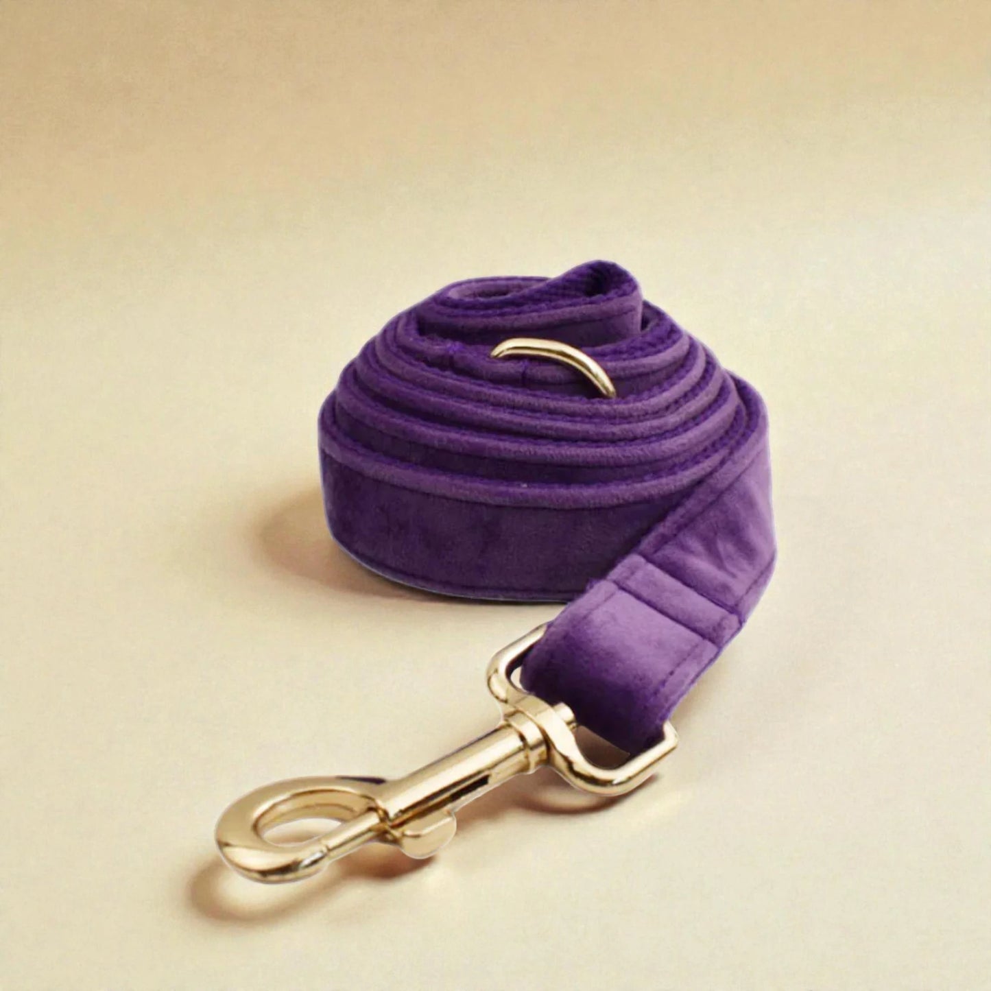 Purple dog lead with gold hardware on a beige background