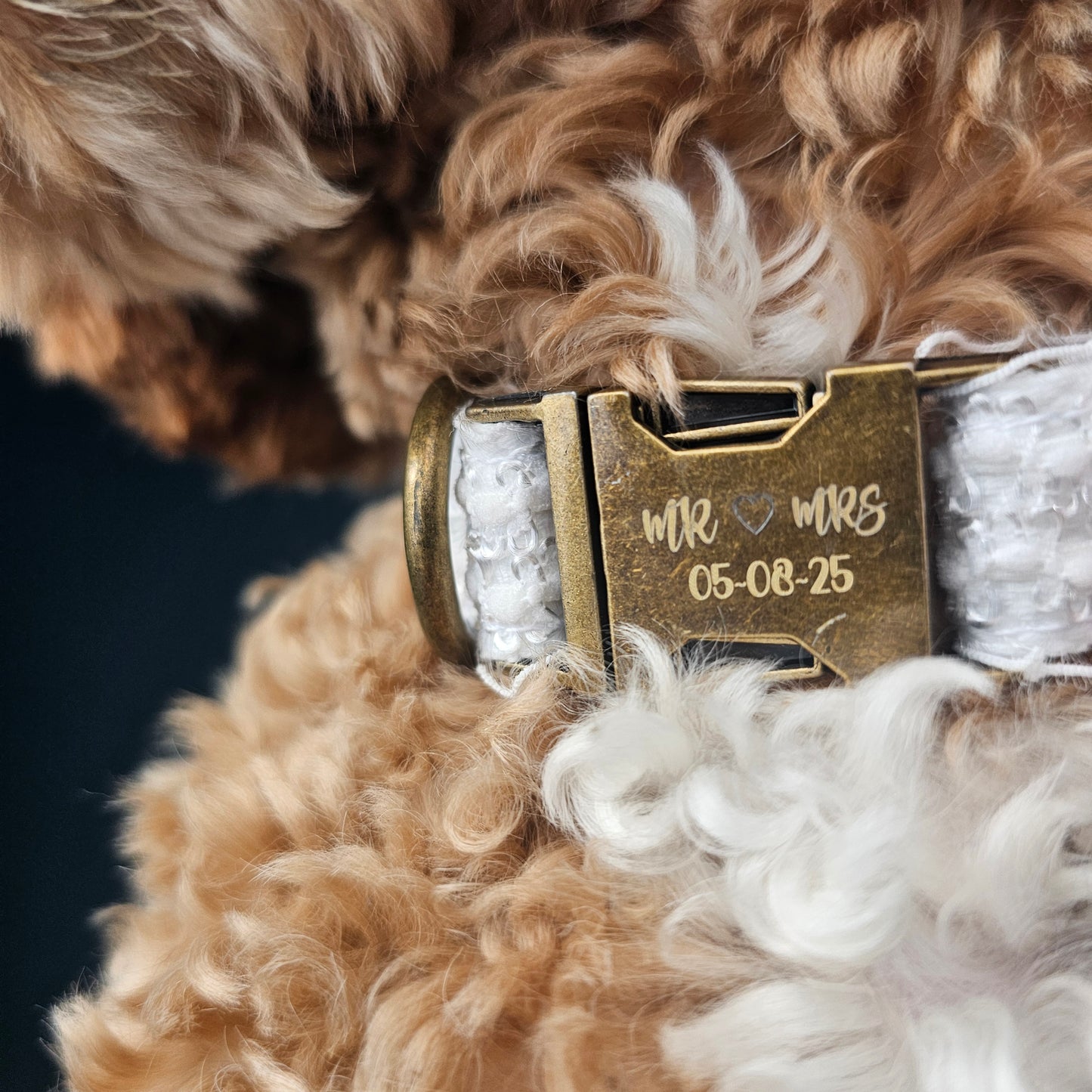 wedding collar buckle close up with engraveing that reads mr mrs 05-08-25