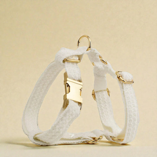 White lace dog harness with gold hardware on a beige background