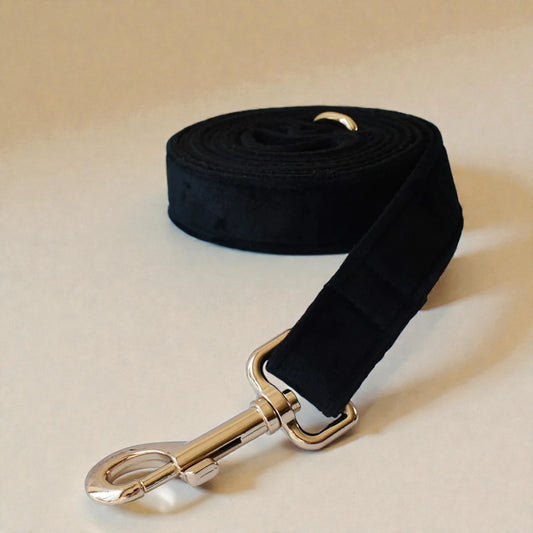 Black dog lead with gold clip on a beige background