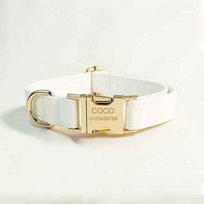 White dog collar with gold buckle and engraved details on a light background