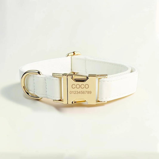 White dog collar with gold buckle and engraved details on a light background