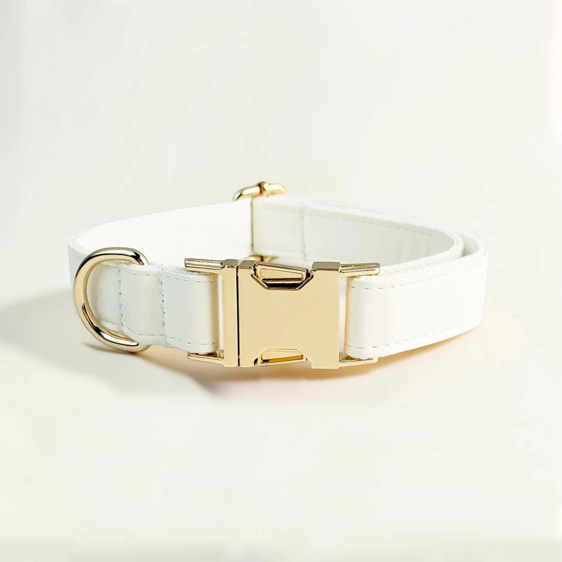 White dog collar with gold buckle on a light beige background