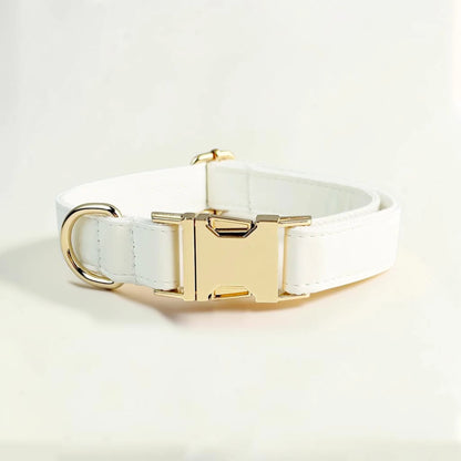 White dog collar with gold buckle on a light beige background