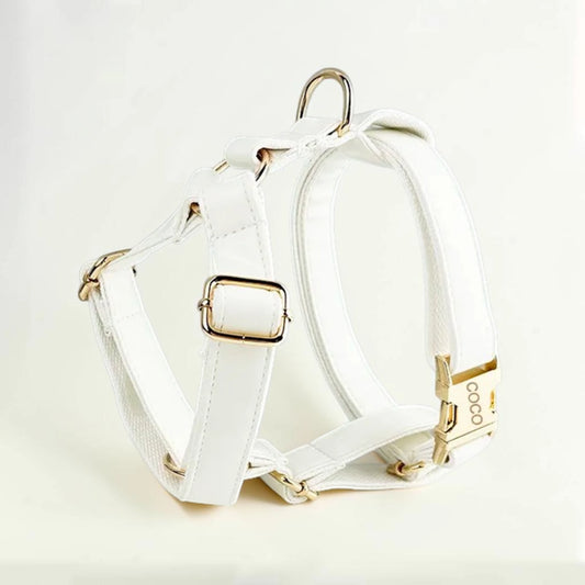 White dog harness with gold hardware on a light beige background