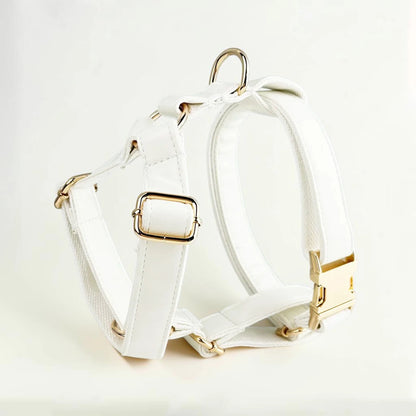 White dog harness with gold buckle on a light background