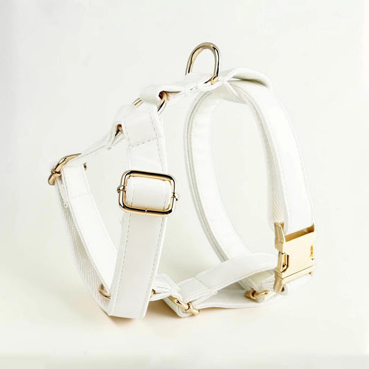 White dog harness with gold buckle on a light background