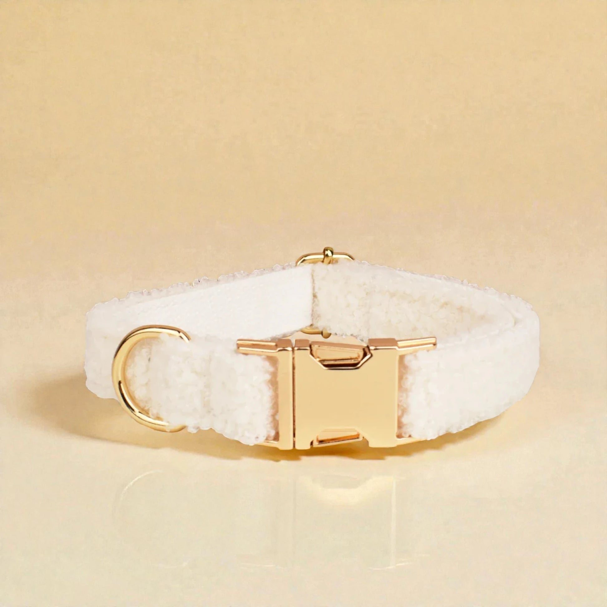 white teddy fleece dog collar with gold buckle