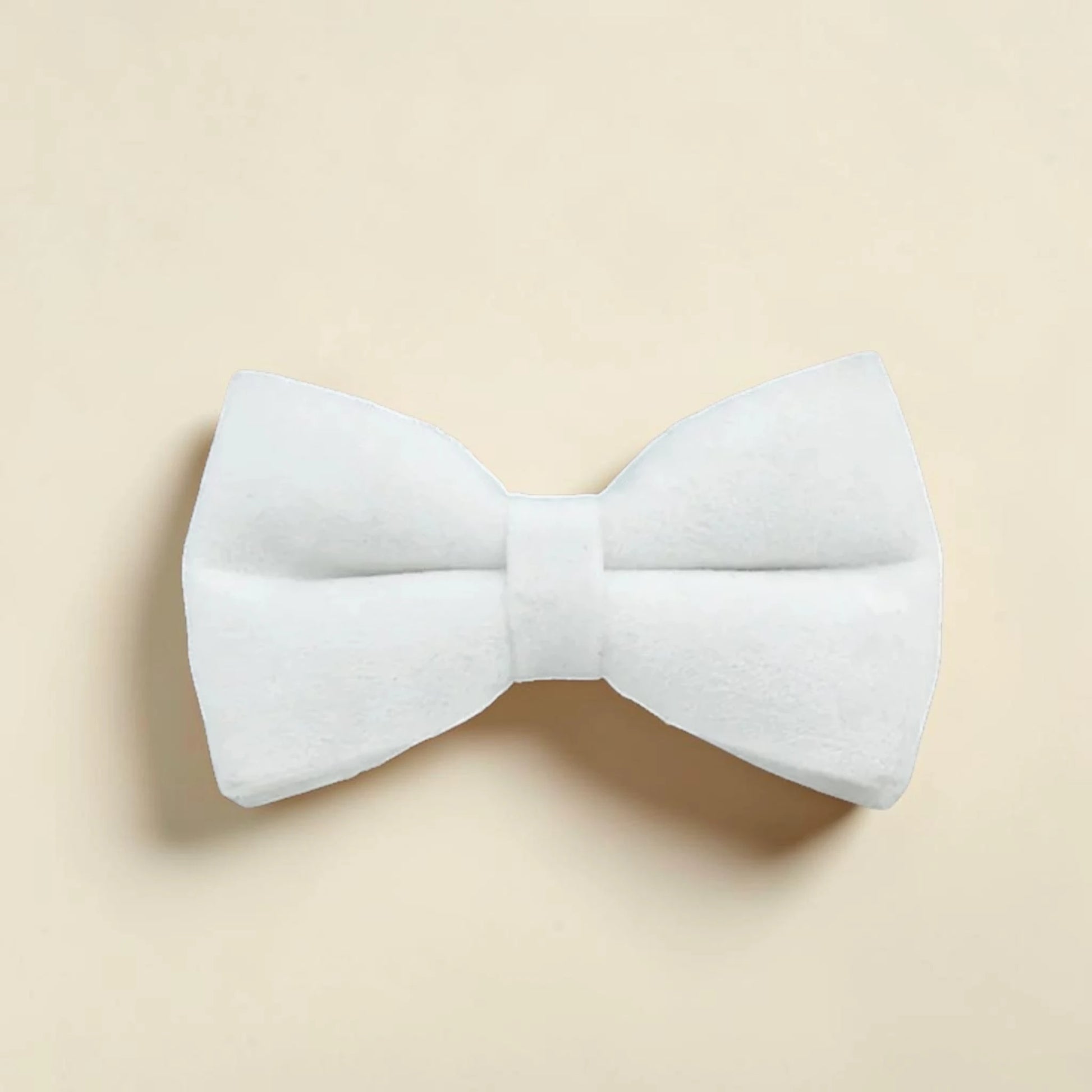 White dog bow tie on a beige background