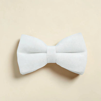 White dog bow tie on a beige background