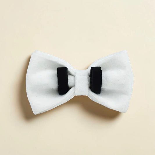 White dog detachable bow tie with black straps on a beige background