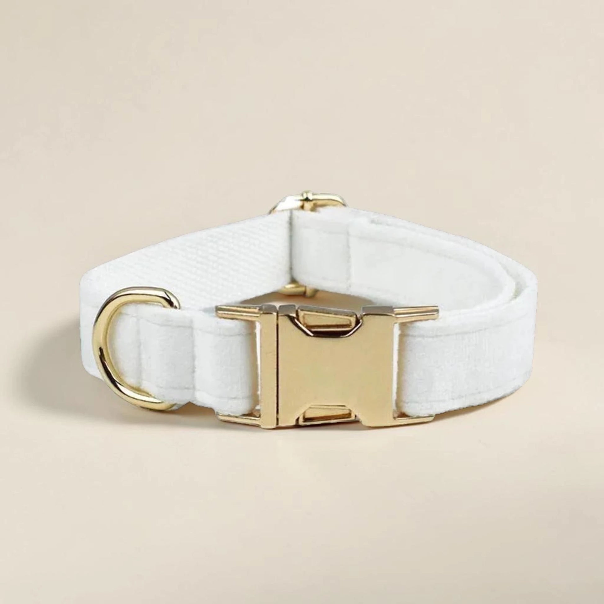 White velvet dog collar with gold buckle on a beige background