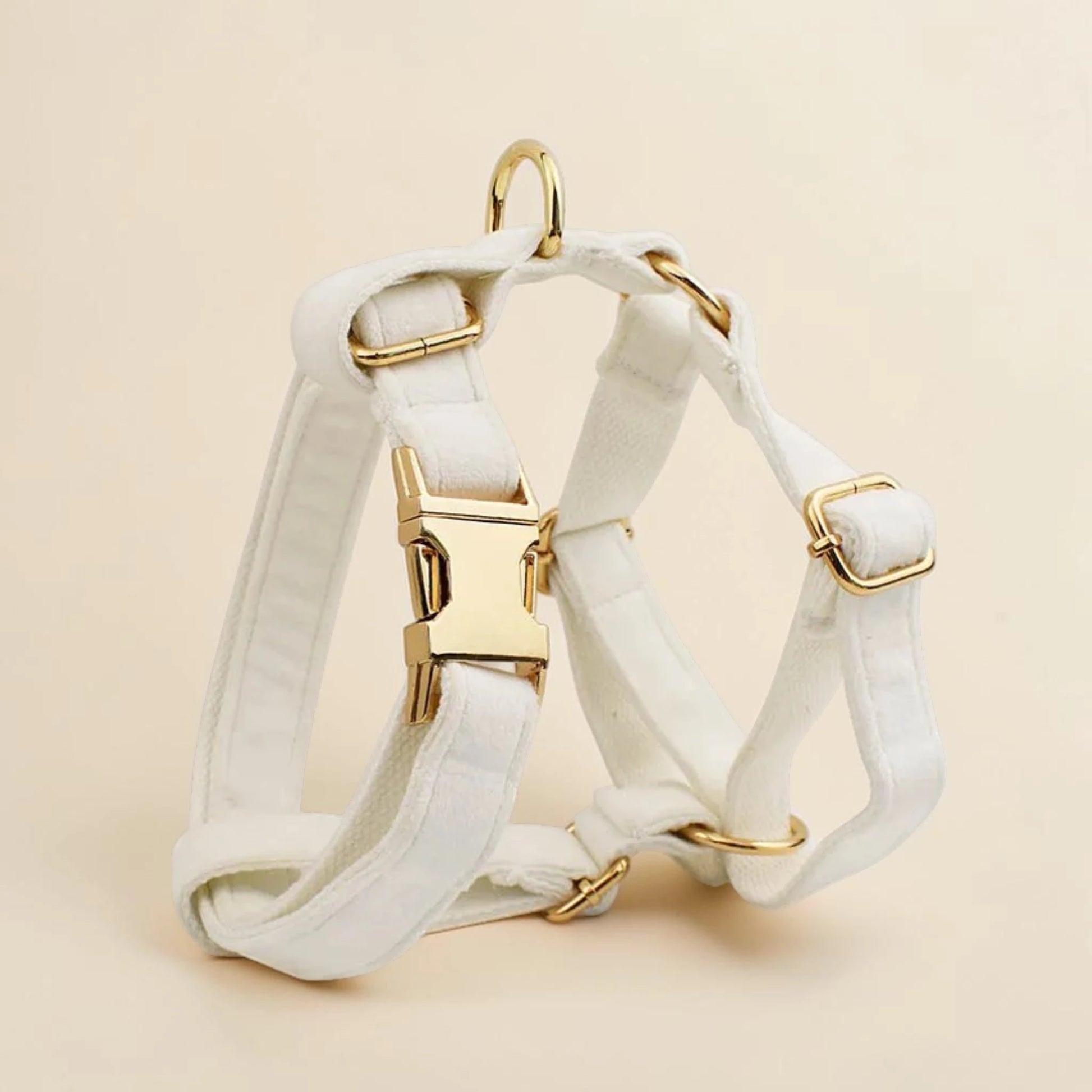 White dog harness with gold hardware on a beige background