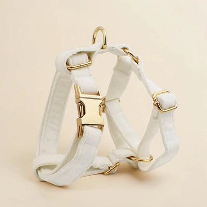 White dog harness with gold hardware on a beige background