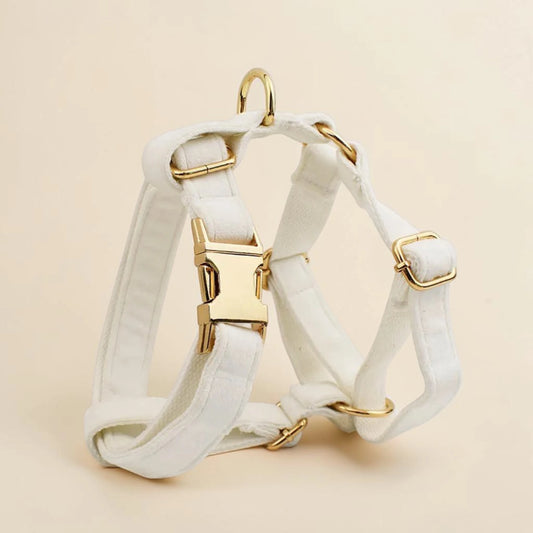 White dog harness with gold hardware on a beige background