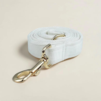 White velvet dog lead with gold clip on a beige background